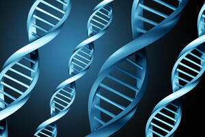 14.06 - Using New Technologies to Study the Genetics of Disease