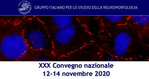 XXX Convegno nazionale del Gruppo Italiano per lo Studio della Neuromorfologia