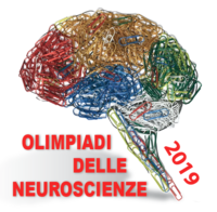 Olimpiadi-Neuroscienze-Pisa-2019