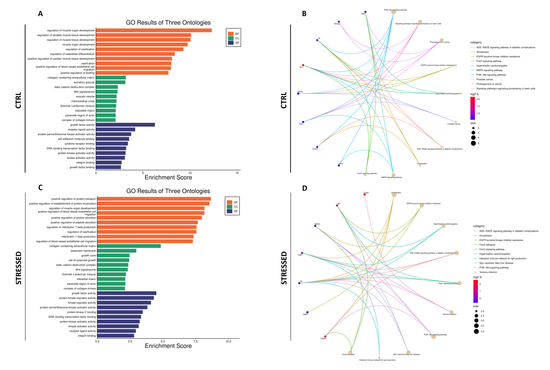 ScientificReports_giugno2025