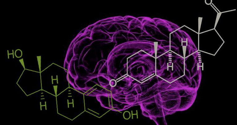 Kisspeptin system in ovariectomized mice: Estradiol and progesterone regulation