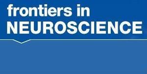 Frontiers in Neuroscience, P. Peretto e L. Bonfanti